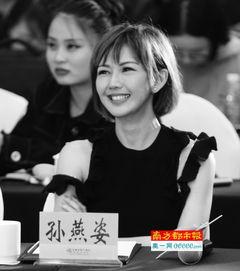 孙燕姿爆料神器视频播放,视频播放背后的秘密大公开 第3张 孙燕姿爆料神器视频播放,视频播放背后的秘密大公开 第3张