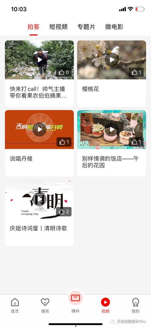 青帝最新爆料新闻网下载,揭秘网络下载背后的秘密与挑战 第2张 青帝最新爆料新闻网下载,揭秘网络下载背后的秘密与挑战 第2张