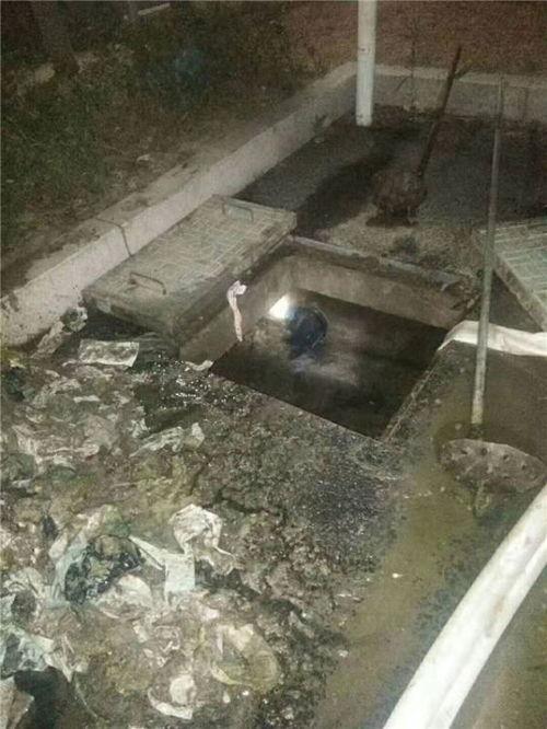 河津市百底村爆料新闻最新消息 第3张 河津市百底村爆料新闻最新消息 第3张